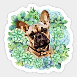 Succulents and French bulldog Sticker